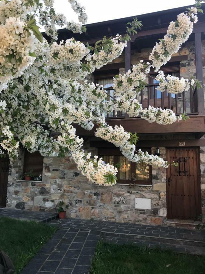 Casa Rural Magdalena Villa Espinareda de Vega Ngoại thất bức ảnh